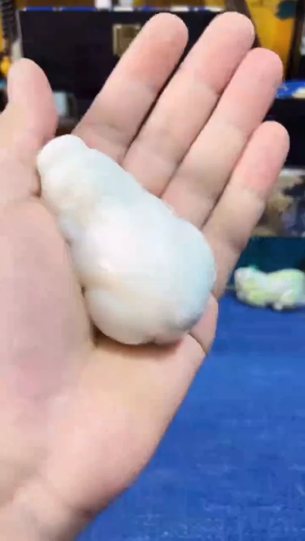 未镶嵌和田玉挂件和田 羊油貔貅把件（飞铃文玩）