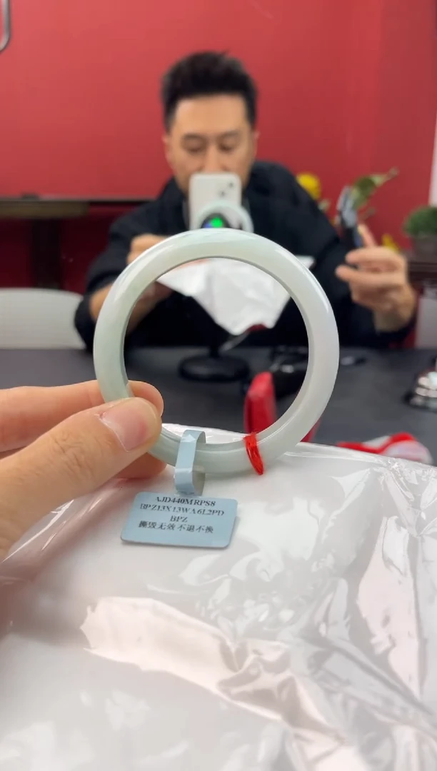 未镶嵌手镯翡翠856