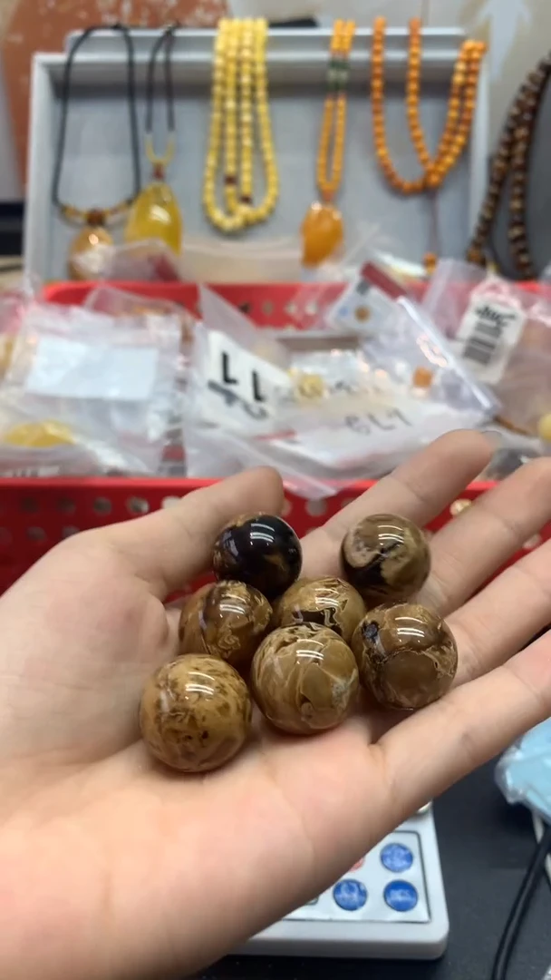 【闪购商品】琥珀珠宝奇石未镶嵌798 多样性发其一