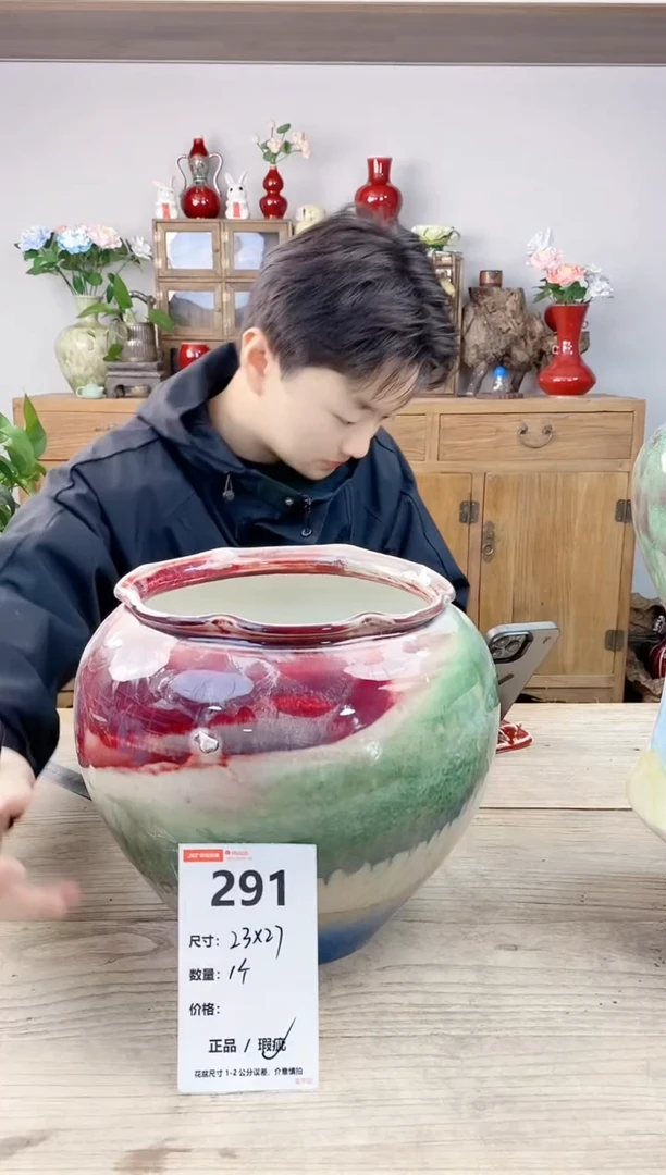 晴好园艺直播编号291