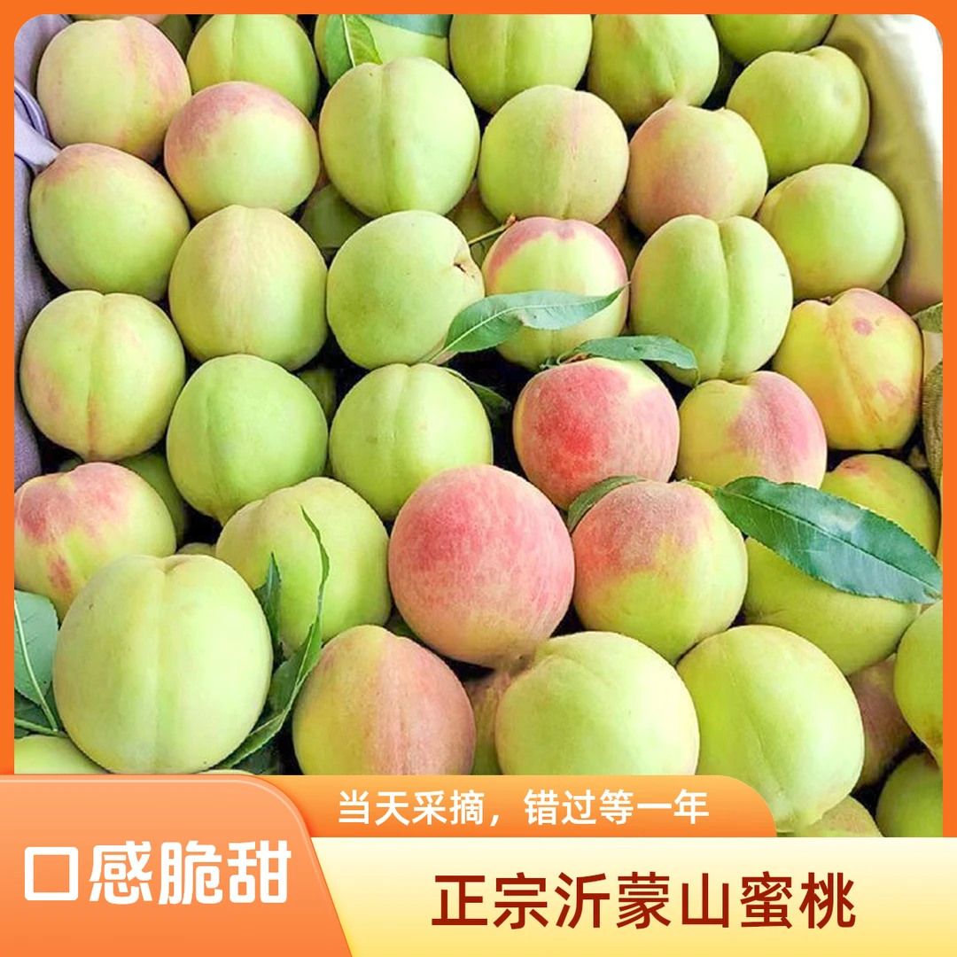 【产地直发】山东现摘蜜桃桃子新鲜脆桃脆甜离核毛桃当季水果批发
