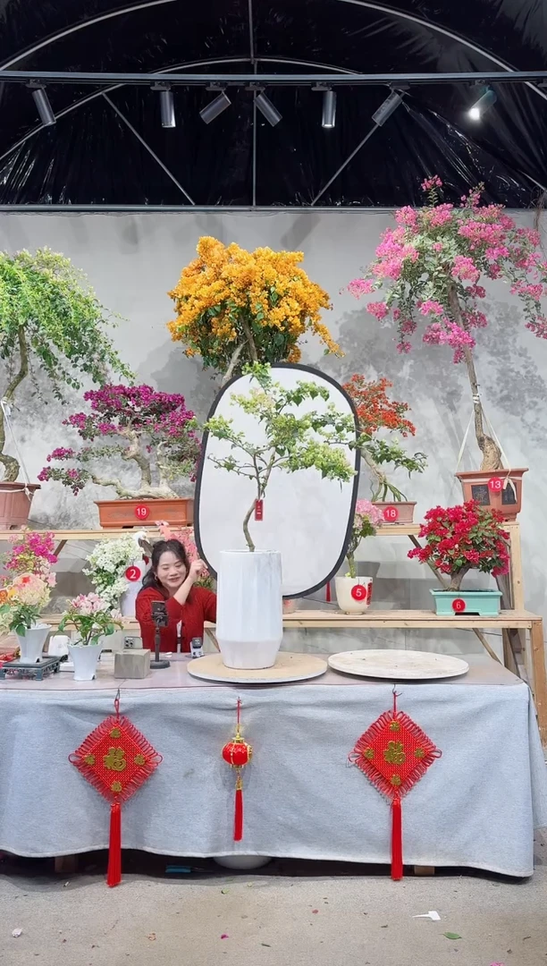 【闪购商品】盆景绿叶樱花