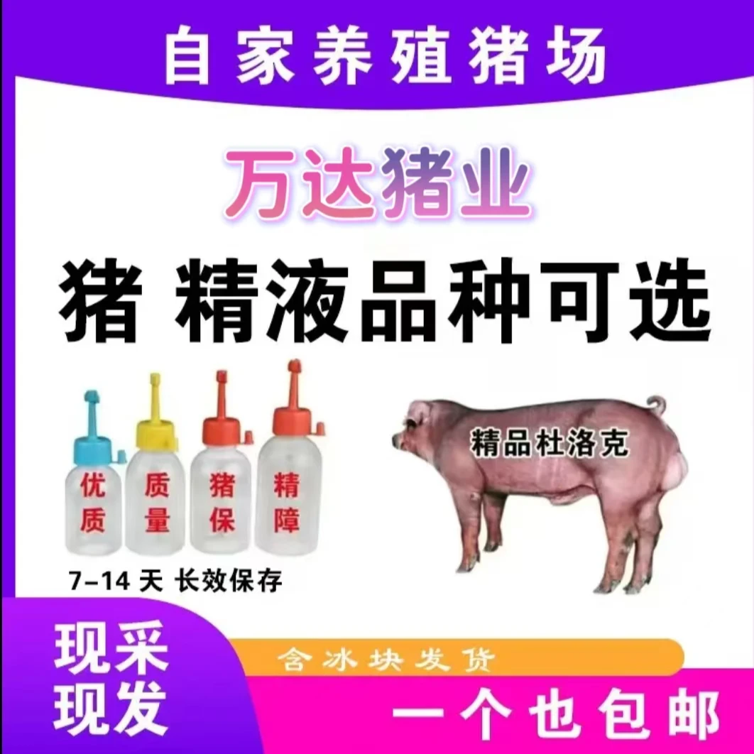 精品杜洛克种公精液一件包邮包对版生态养殖批发输精管猪用耗材