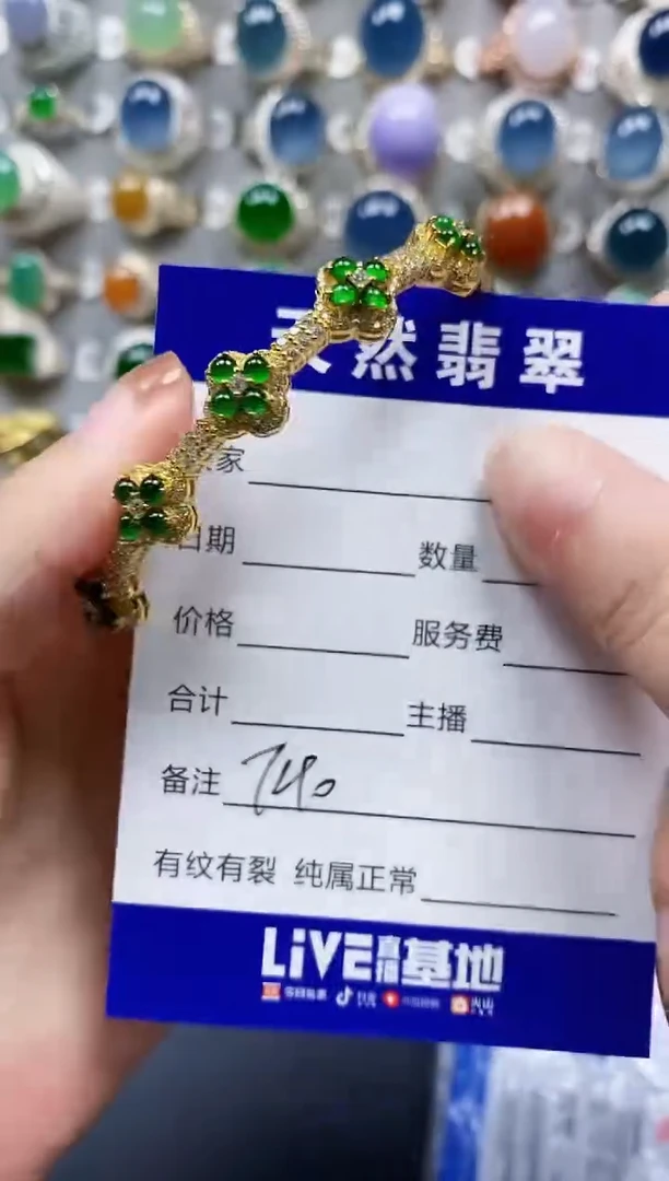 翡翠手镯银S925镶嵌0740