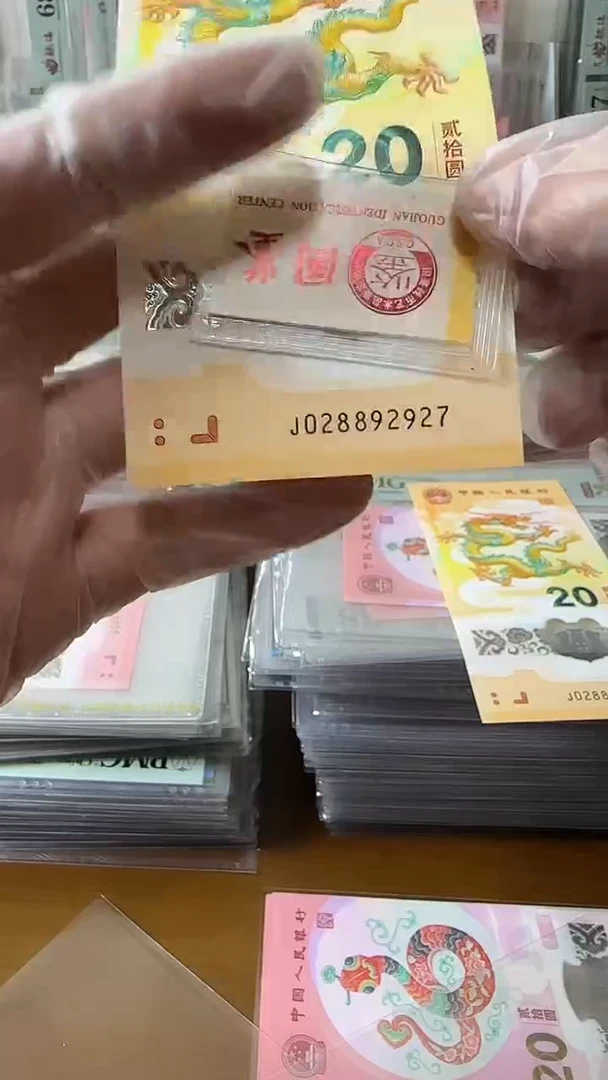 塑料028892927-龙钞单张