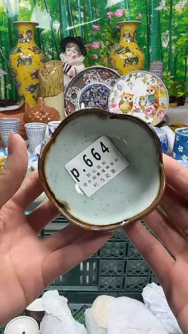 瓷片林664kkkkkkkkk
