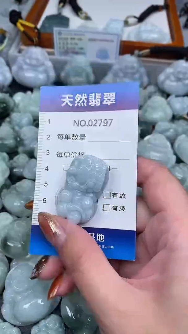 颈饰未镶嵌翡翠纯天然A货翡翠2797