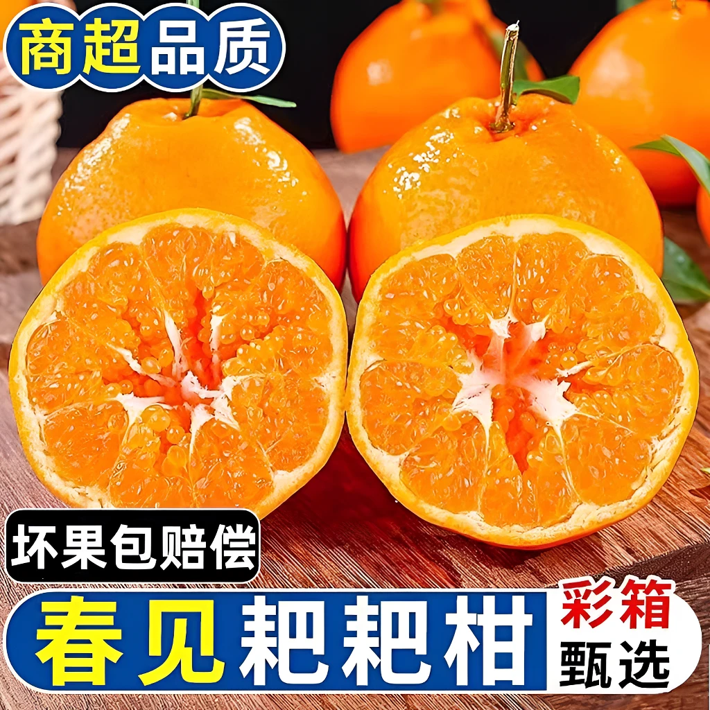 四川眉山耙耙柑果园直发春见耙耙柑新鲜多计耙耙柑爆甜4斤5斤8斤