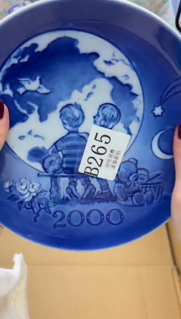 瓷片       B265