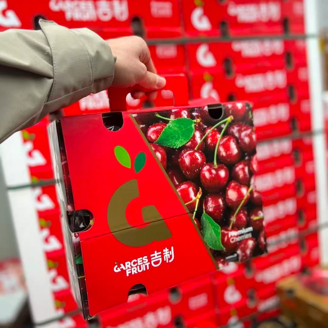 大G海运智利车厘子2J桑提娜又脆又甜 内附果径卡