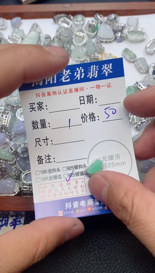 【闪购商品】翡翠颈饰银S925镶嵌多样性发其中一件