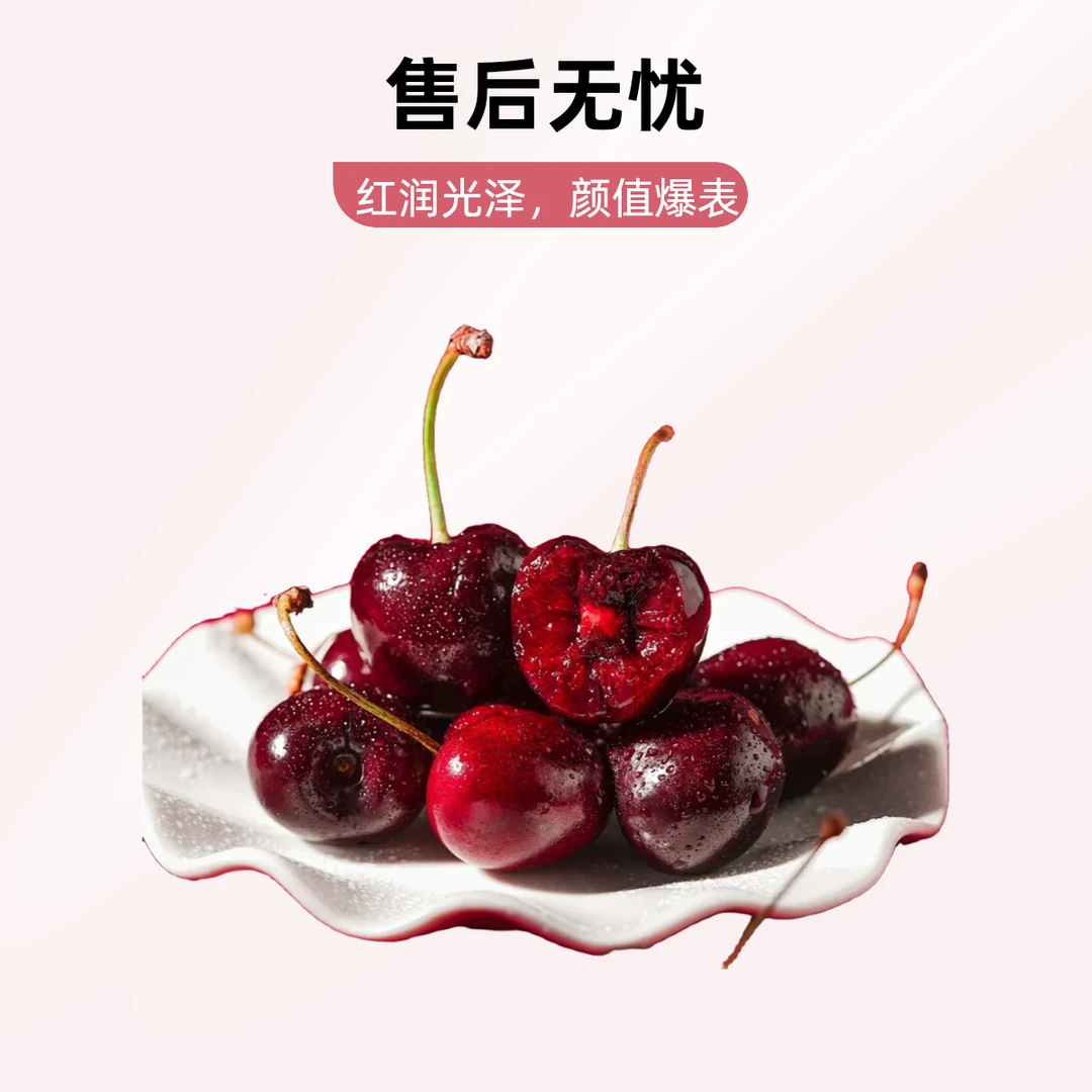 智利J/2J/3J/4J 车厘子10斤装顺丰到家