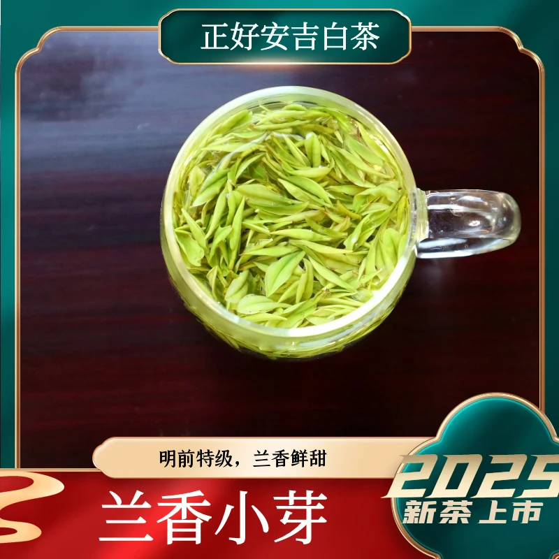 4号【兰香小芽】2025年安吉白茶溪龙核心产区春季鲜爽回甘春茶