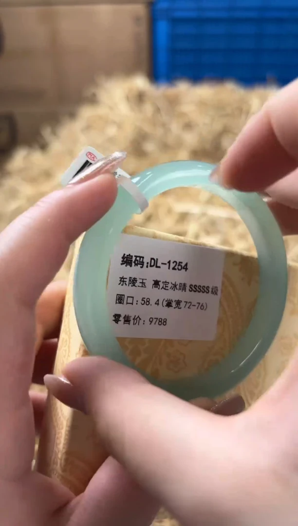 未镶嵌手镯石英质玉DL-1254