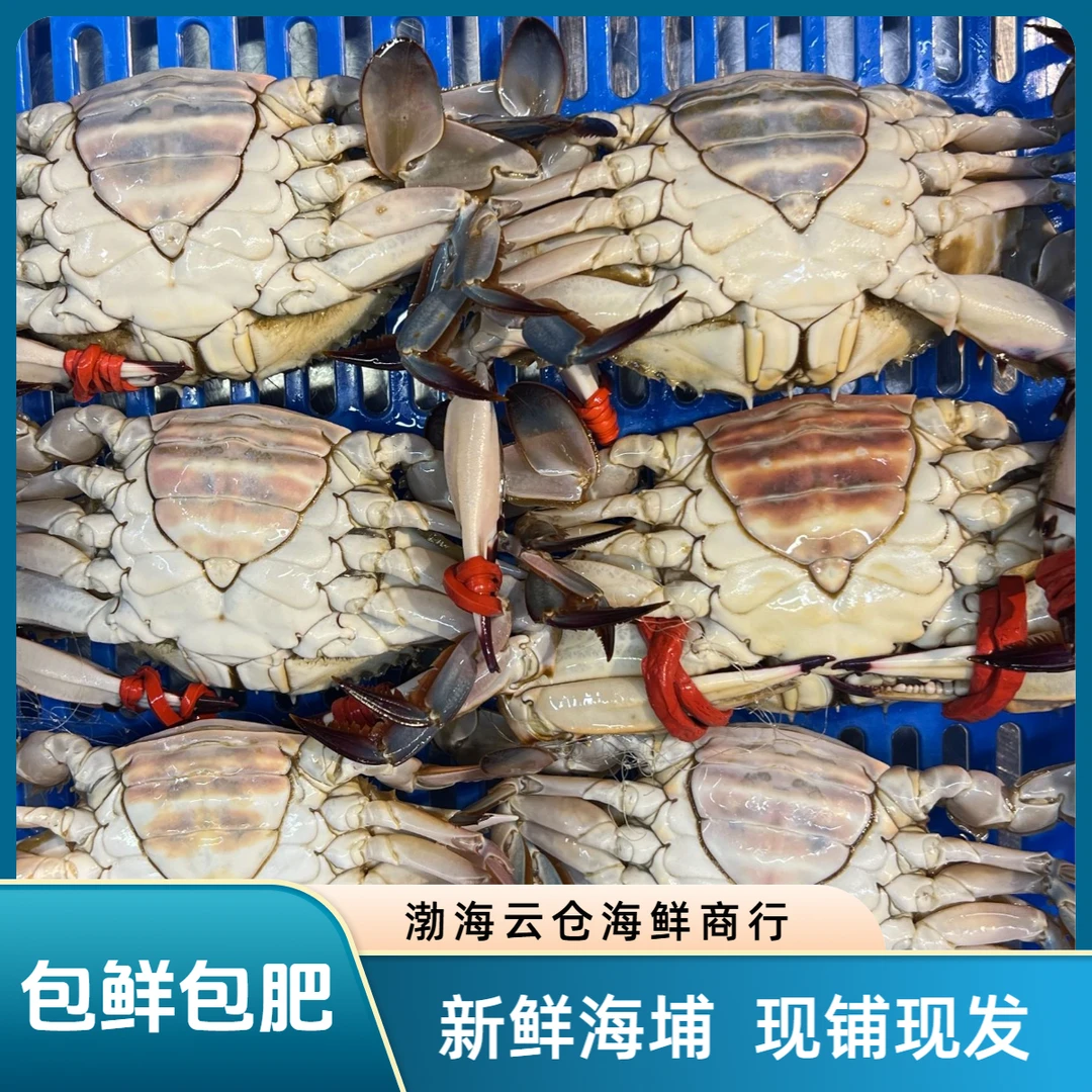 鲜活 母蟹 带黄带膏 3/4/5/两/只  2斤，3斤 【保鲜不保活】