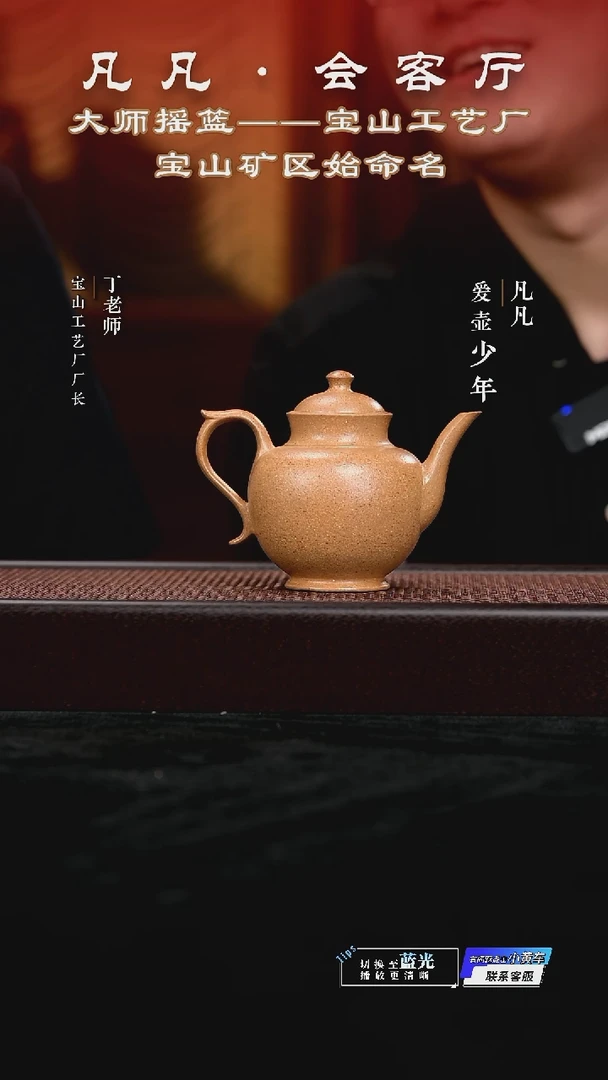 茶壶紫砂DL38 梅佳 承露黄降坡230cc