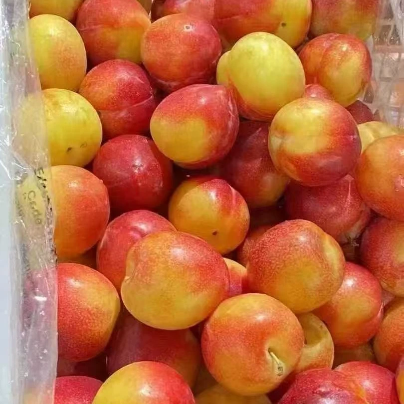 智利珠宝李一斤