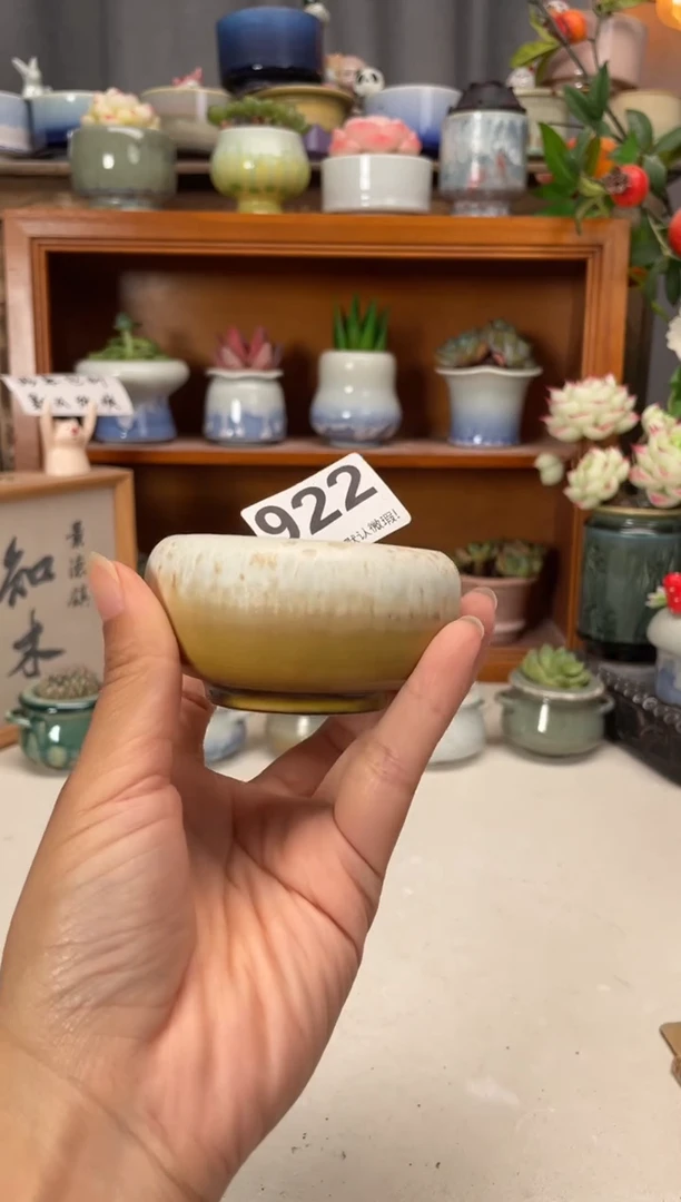 瓷片922知木小芳花盆