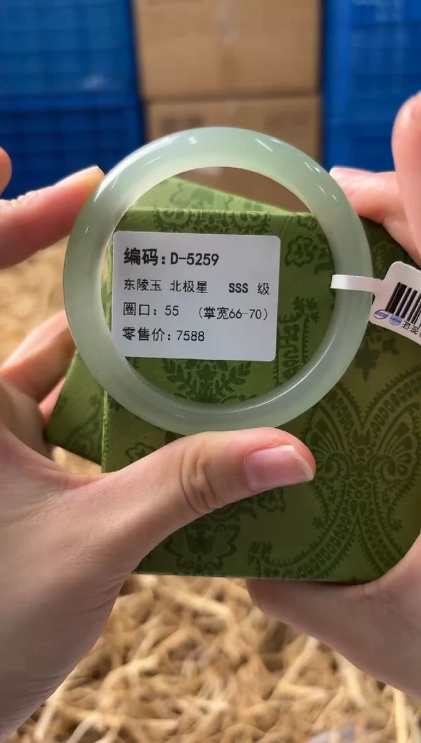未镶嵌手镯石英质玉D-5259