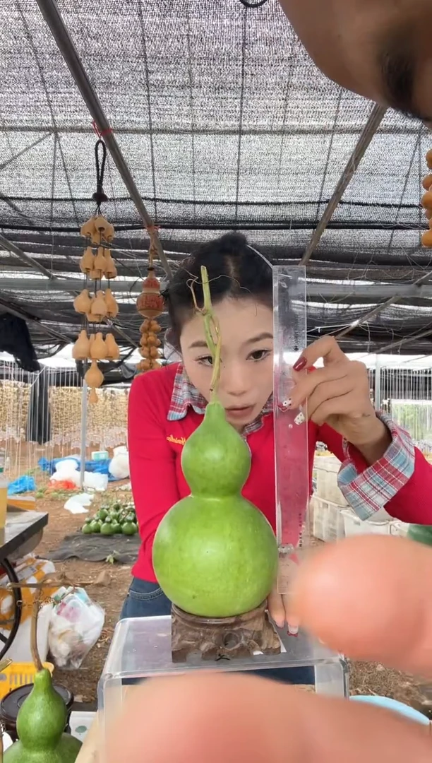 171天然葫芦摆件 一物一拍龙头不保售后