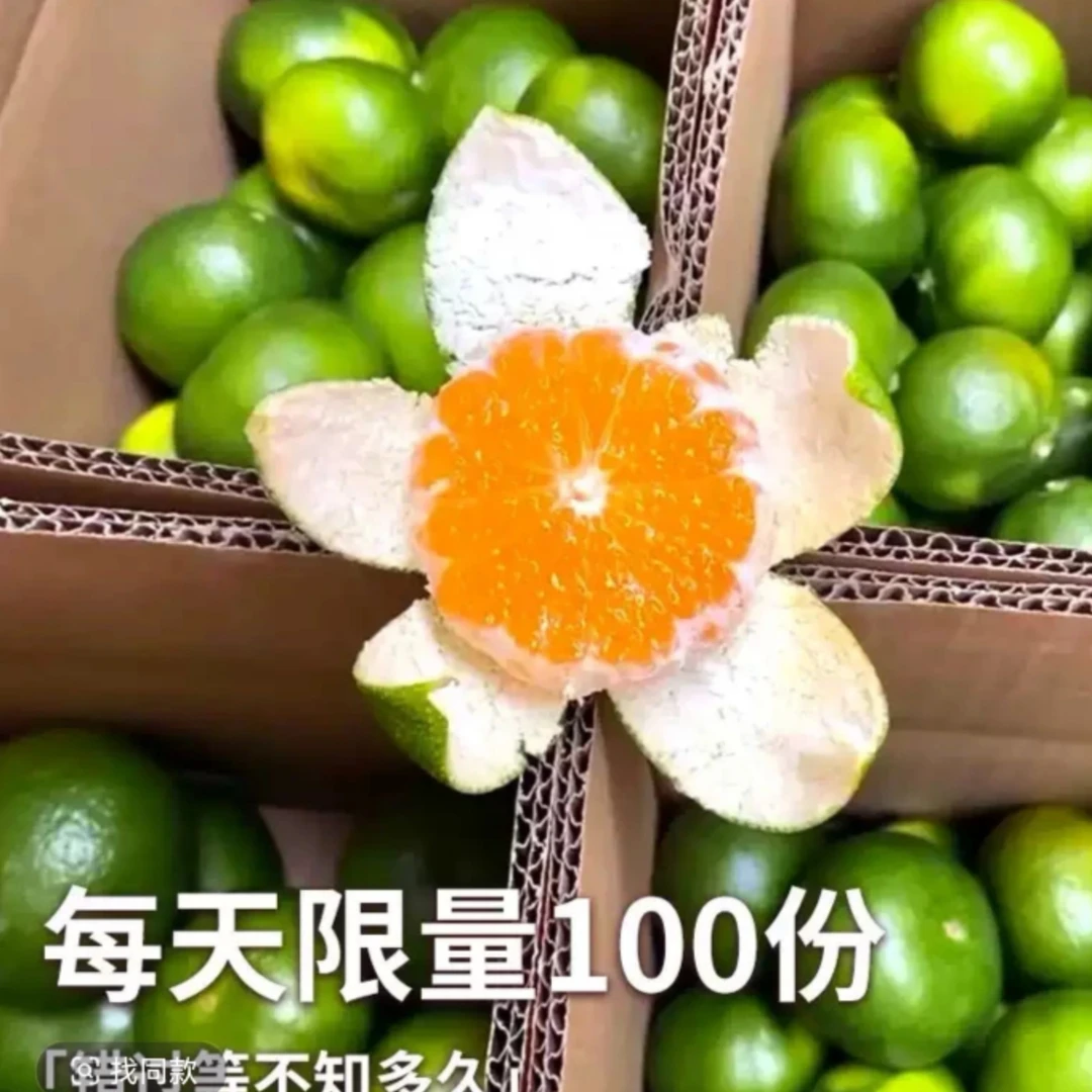 正宗云南蜜桔橘子蜜橘新鲜当季青皮酸甜多汁孕妇水果柑橘5斤LC2