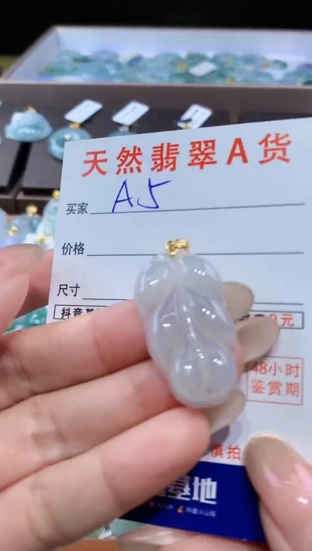 颈饰未镶嵌翡翠天然翡翠A货挂件