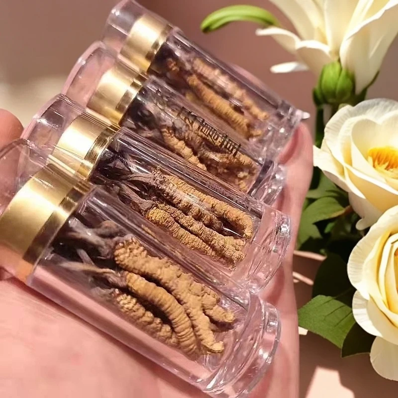 精选高海拔冬虫夏草正宗藏区非那曲高能感品质整根滋补虫草非断草