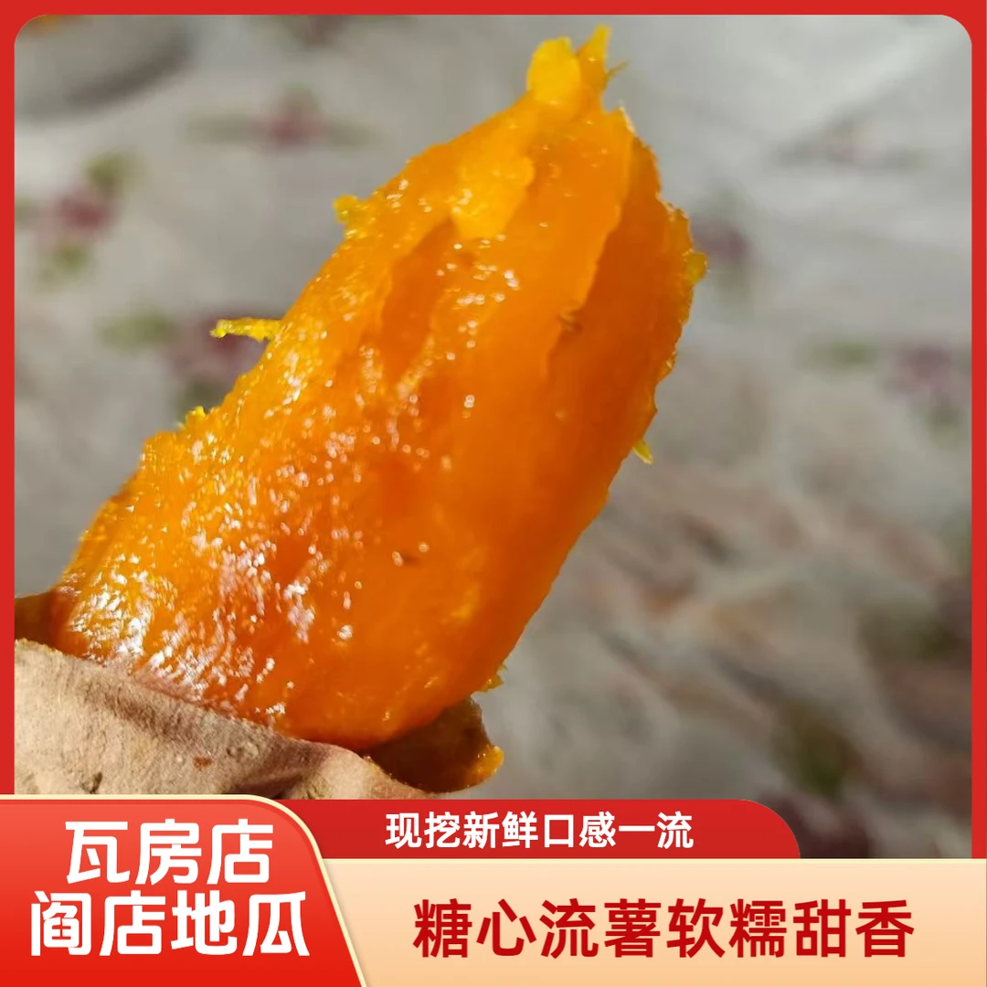 正宗瓦房店阎店糖心流油烟薯25号蜜薯新鲜现挖超甜软糯地瓜