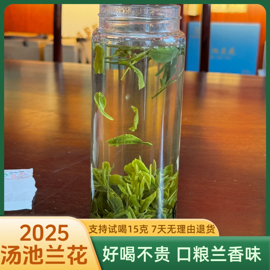~2025新茶#口粮茶  A6老品种汤池兰花（老树茶）