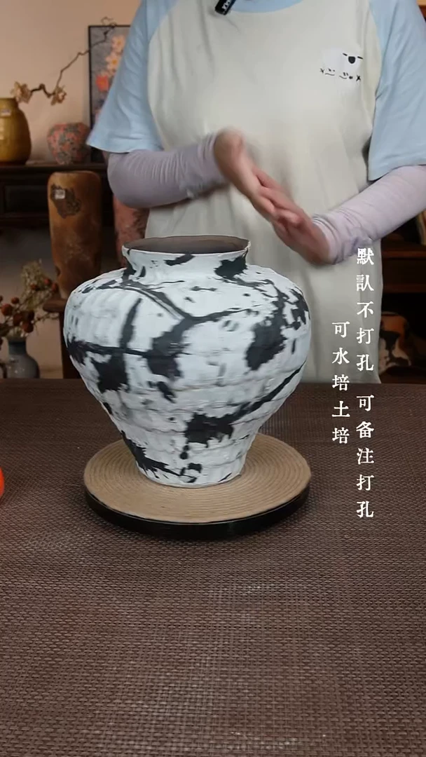 摆件007景德镇陶瓷花瓶