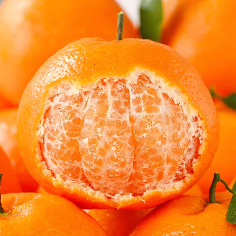 【清甜解渴】精选春见（散称）        包装随机发货四川省