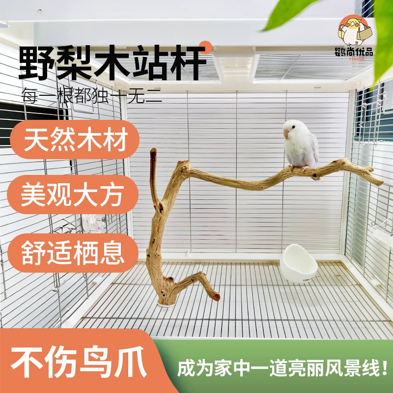 鹦鹉野梨木站棍原木站棍架木棍自然磨爪磨嘴站木实木架造景玄凤