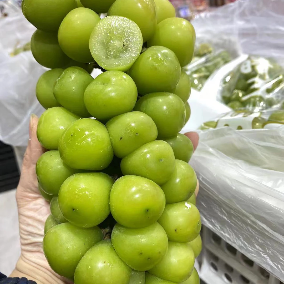 阳光玫瑰青提两斤云南省【好东西】#祝你2025厘想成真#是谁还没收到车厘子圣诞花束