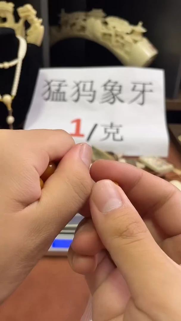 猛犸袅袅14m圆珠单颗