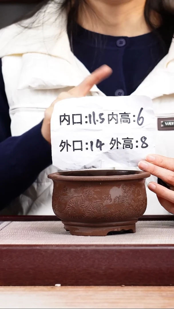 紫砂花盆紫泥刻绘猫咪迷你矮圆盆一只无托