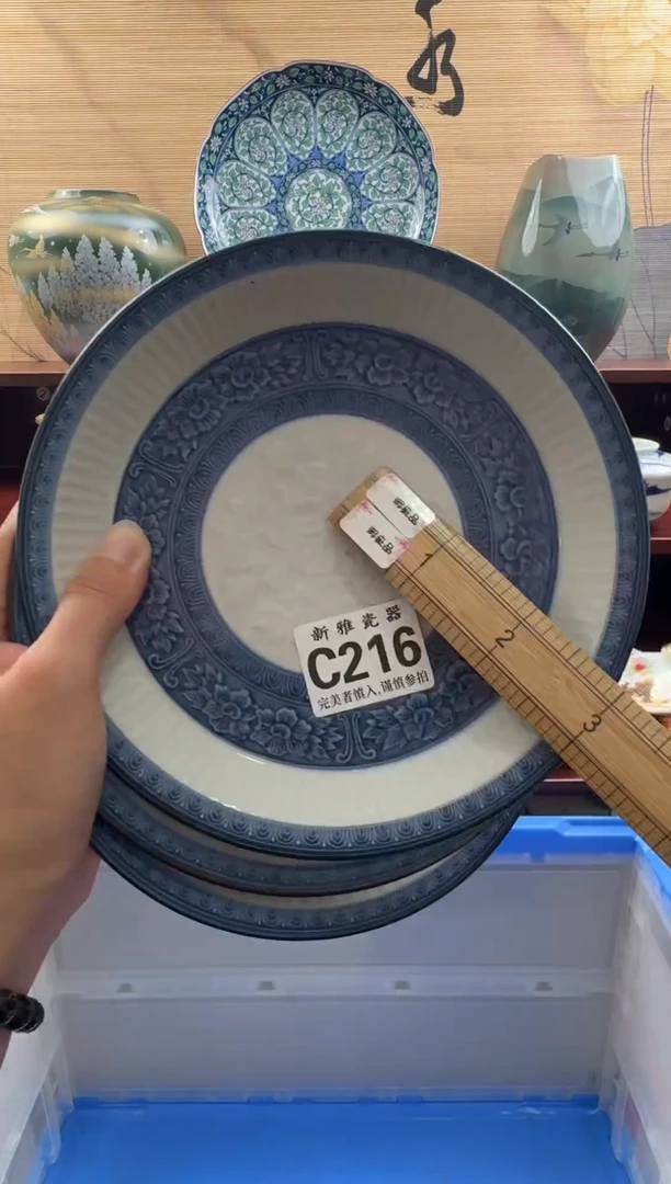 瓷片           C216