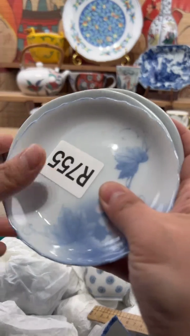 瓷片苏*瓷片-------R755