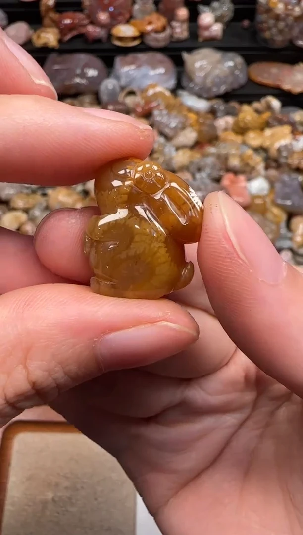 硅化珊瑚（珊瑚玉）未镶嵌颈饰762