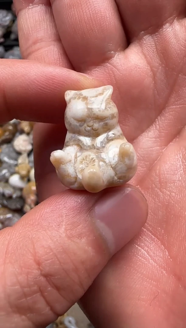 【闪购商品】硅化珊瑚（珊瑚玉）颈饰未镶嵌012