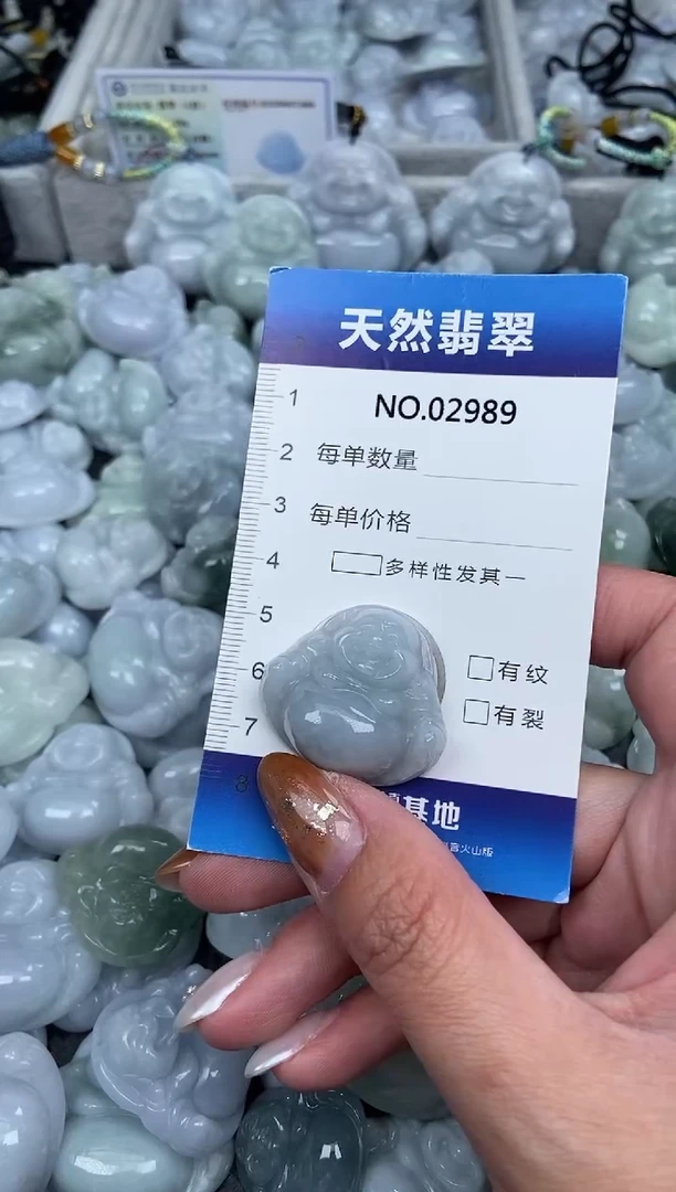 颈饰未镶嵌翡翠纯天然A货翡翠2989