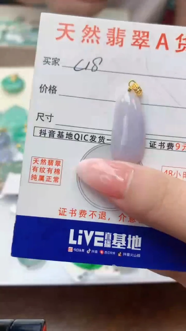 颈饰未镶嵌翡翠天然A货翡翠挂件