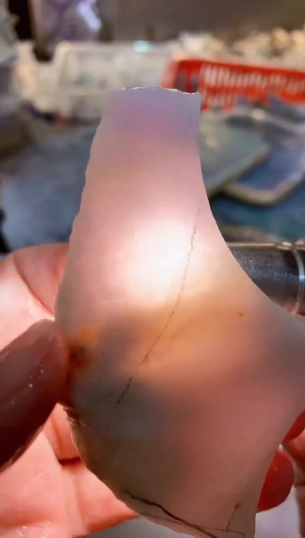 【闪购商品】翡翠颈饰未镶嵌0东0翡翠珠宝11