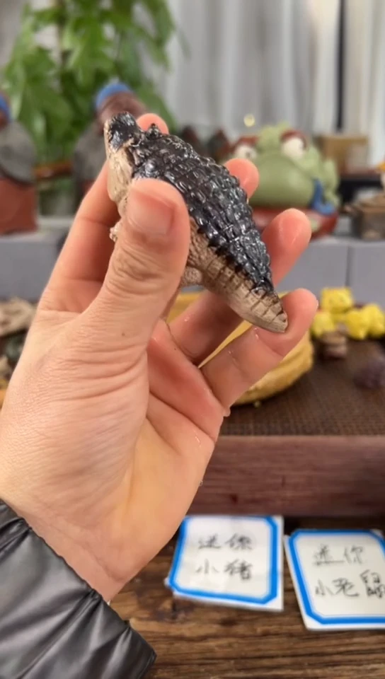 【闪购商品】紫砂茶宠紫砂茶器