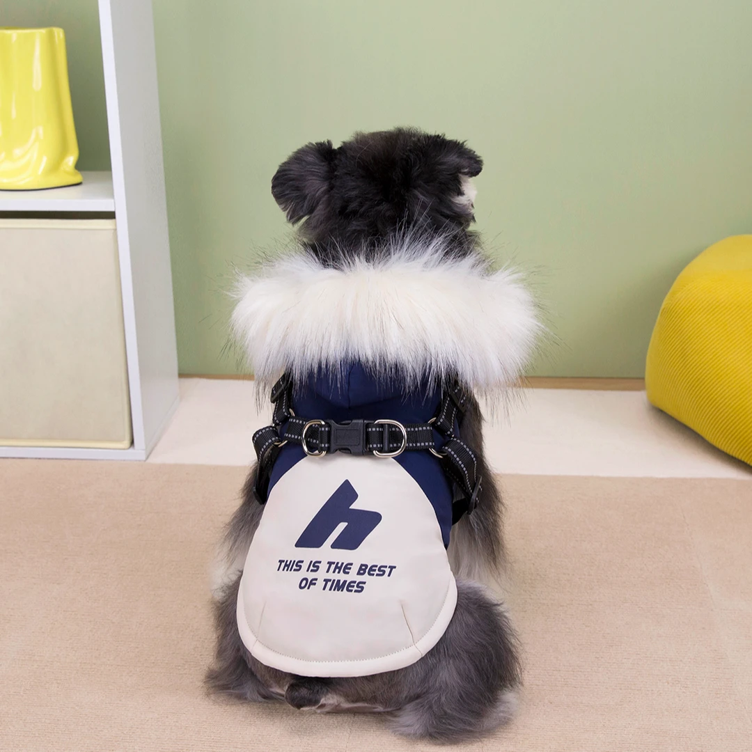 金冠宝贝2025秋冬上新大毛领狗狗两脚衣 蓄热石墨烯内里泰迪比熊