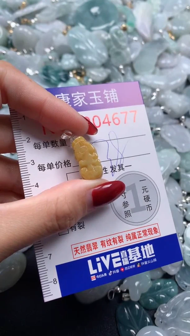 颈饰未镶嵌翡翠4677