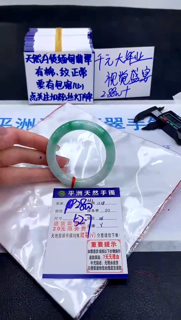 未镶嵌手镯翡翠11111111