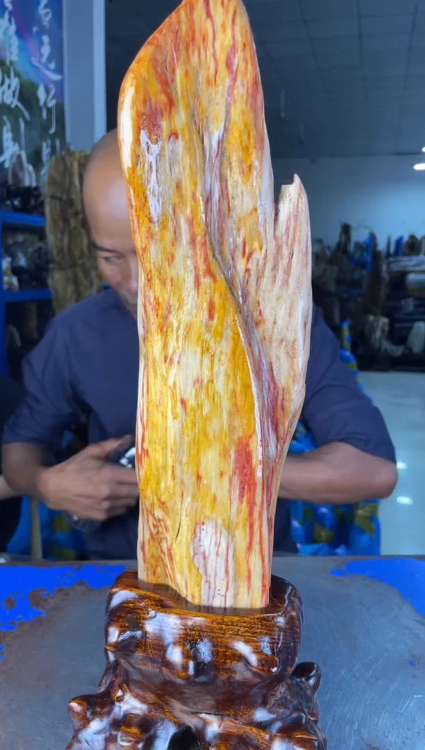 未镶嵌摆件硅化玉63