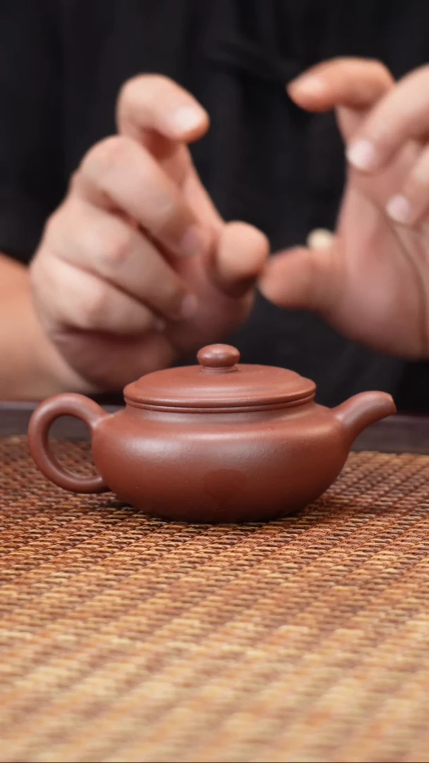 茶壶紫砂汀禾紫砂扁腹