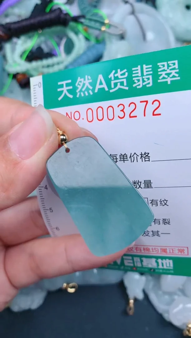 翡翠未镶嵌颈饰.0003272