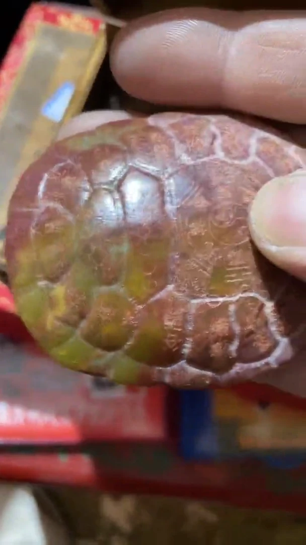 玉米福满专属链接  手把件 带黄杨木盒